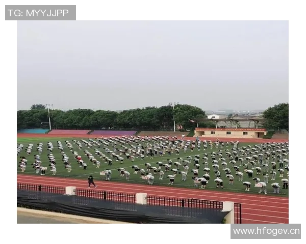 《逆风飞扬:一名年轻运动员的梦想与奋斗之路》